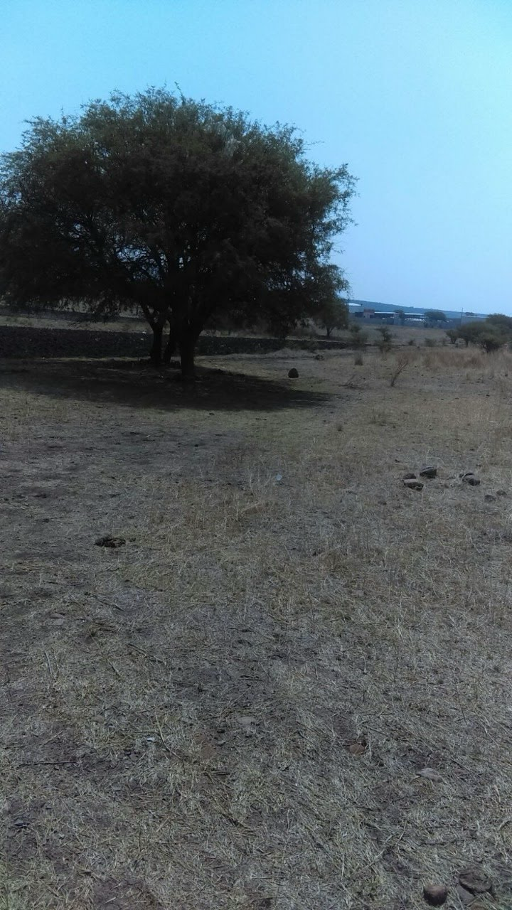 Fotografía del terreno en Tierra Blanca, Querétaro
